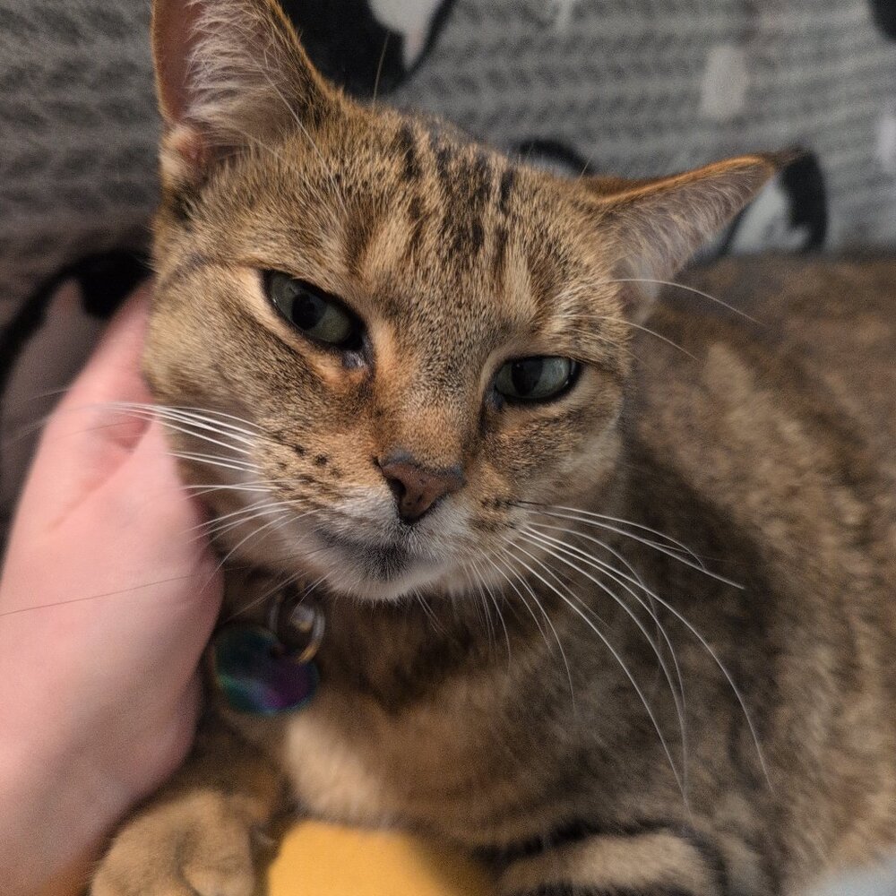 Meet your Posher, Lillian